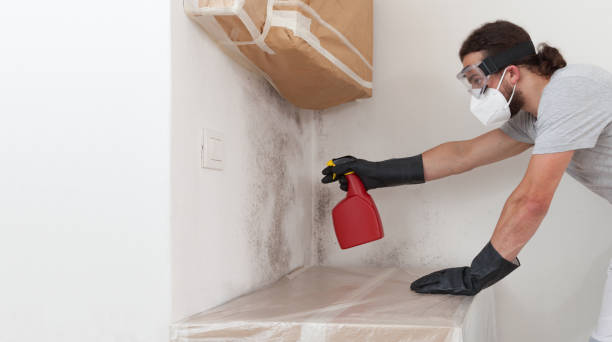 Professional Bathroom Mold Removal technician working in Castleton, VA