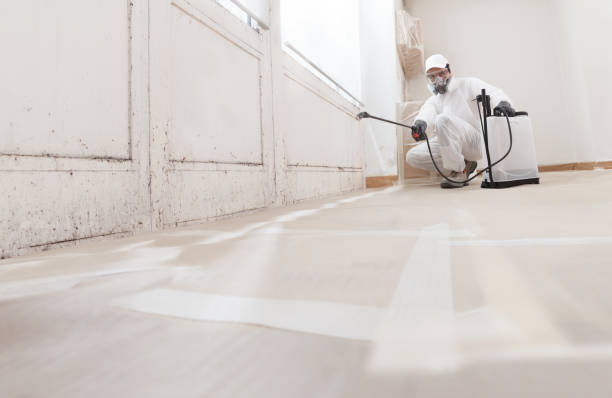 24/7 Emergency Bathroom Mold Removal experts in Castleton, VA