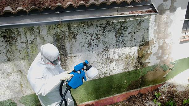 Top rated local Bathroom Mold Removal specialists in Castleton, VA